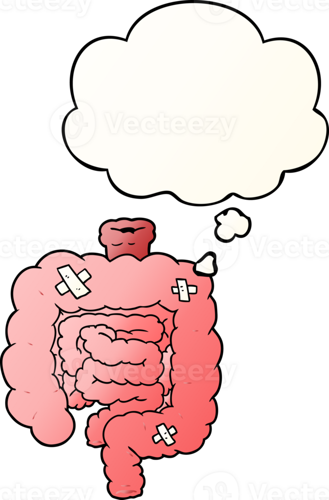 cartoon repaired intestines with thought bubble in smooth gradient style png