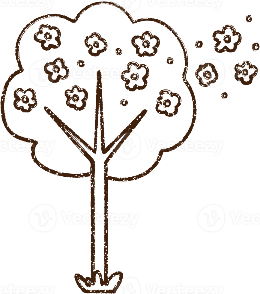 Flowering Tree Charcoal Drawing png