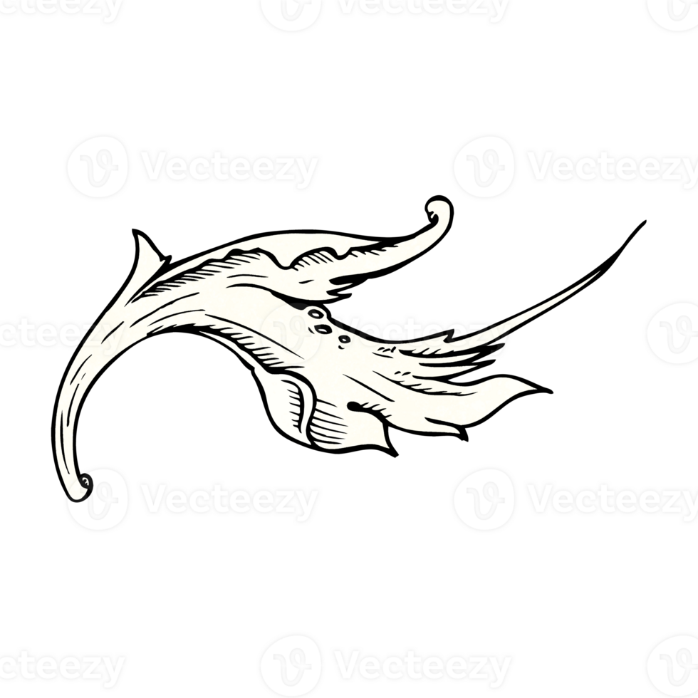 traditional hand drawn floral swirl png