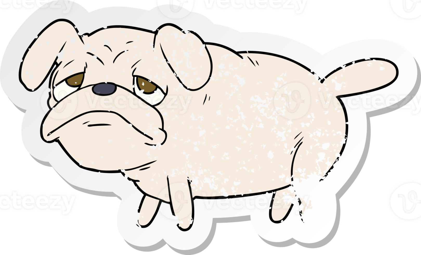 distressed sticker of a cartoon unhappy pug dog png