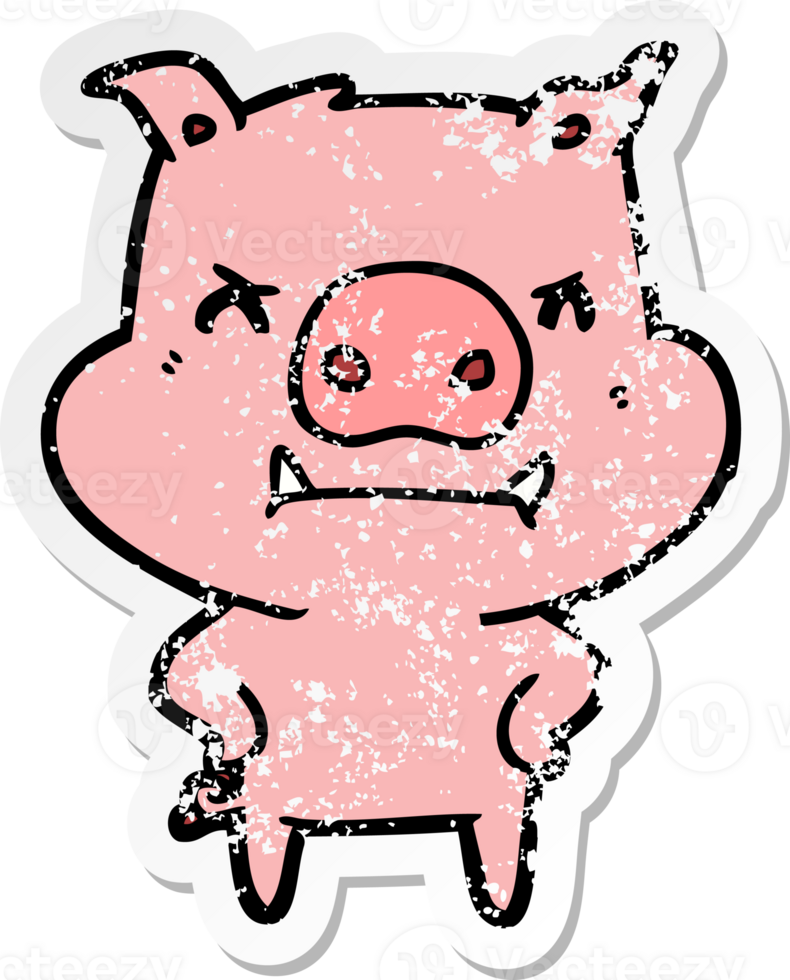 distressed sticker of a angry cartoon pig png