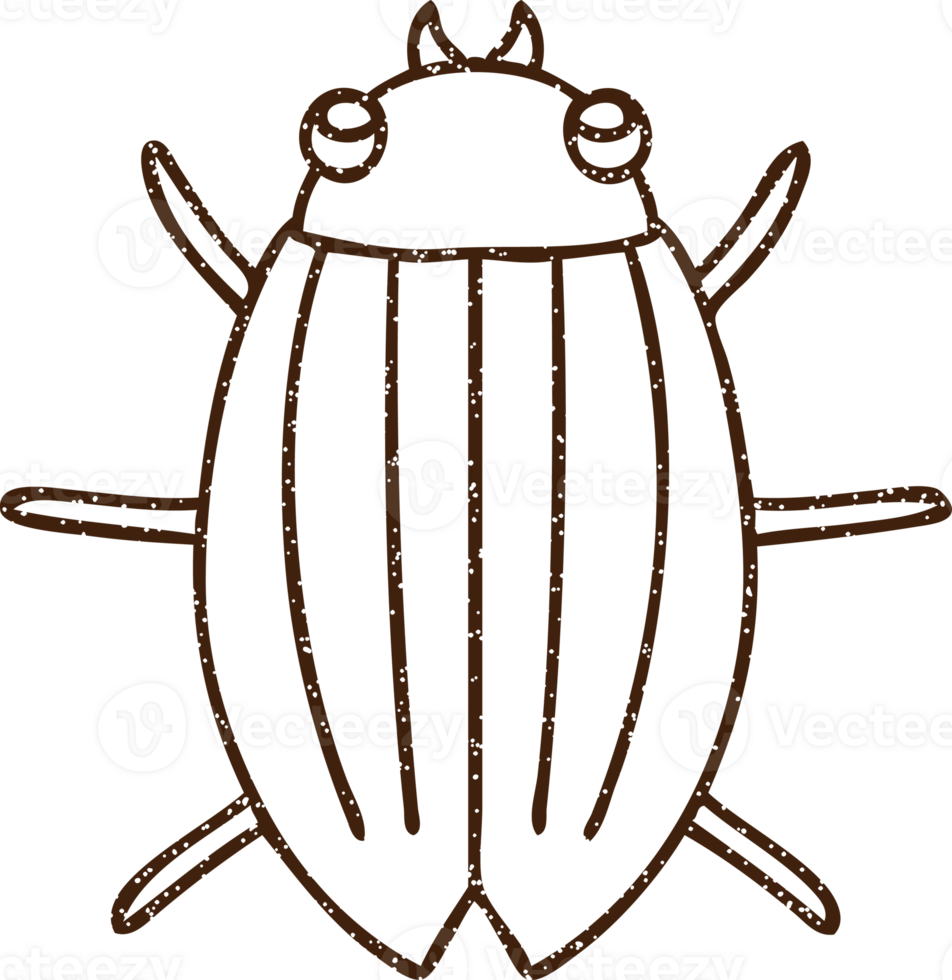 Beetle Charcoal Drawing png