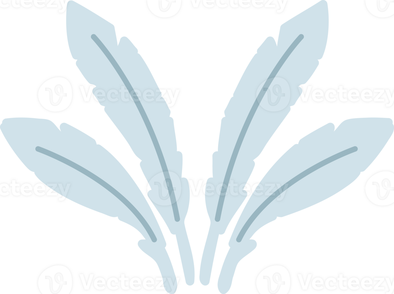 a set of feathers png