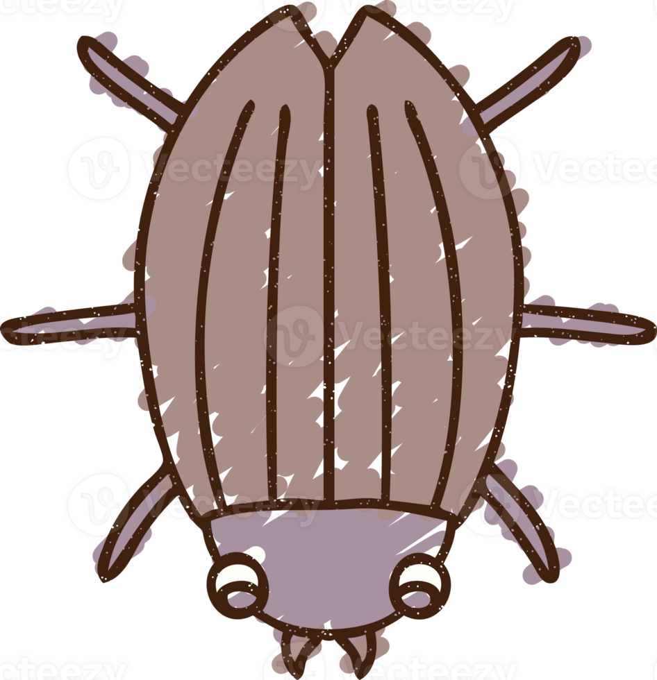 Beetle Chalk Drawing png