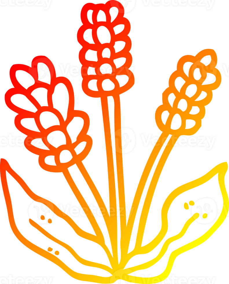 warm gradient line drawing of a cartoon lavender png