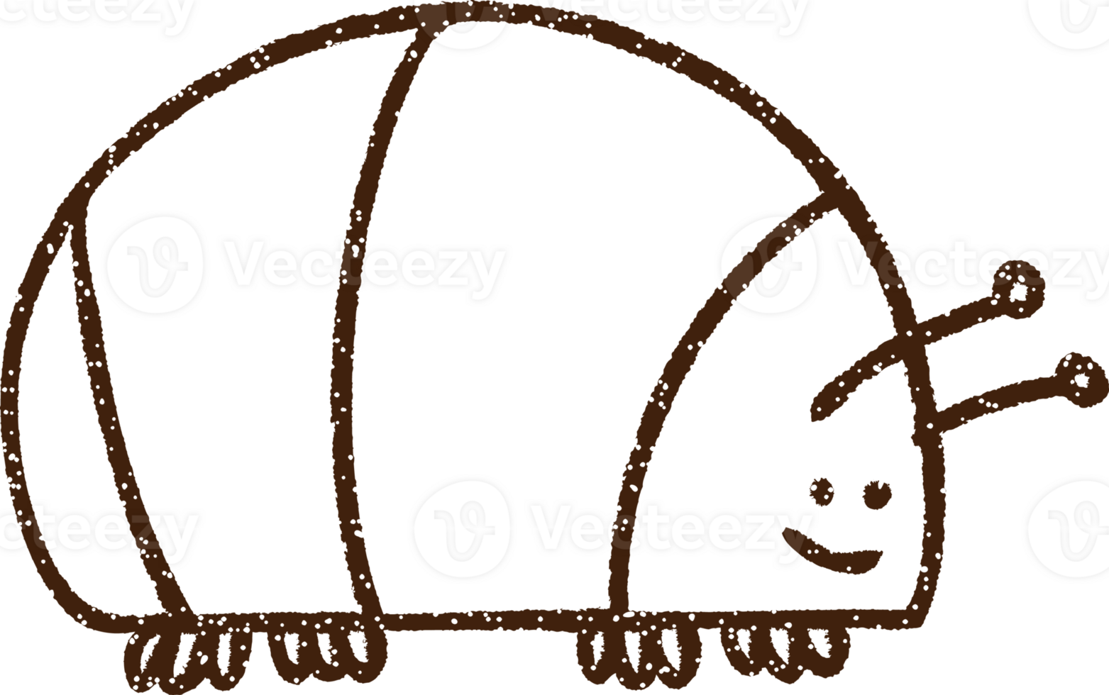 Bug Charcoal Drawing png