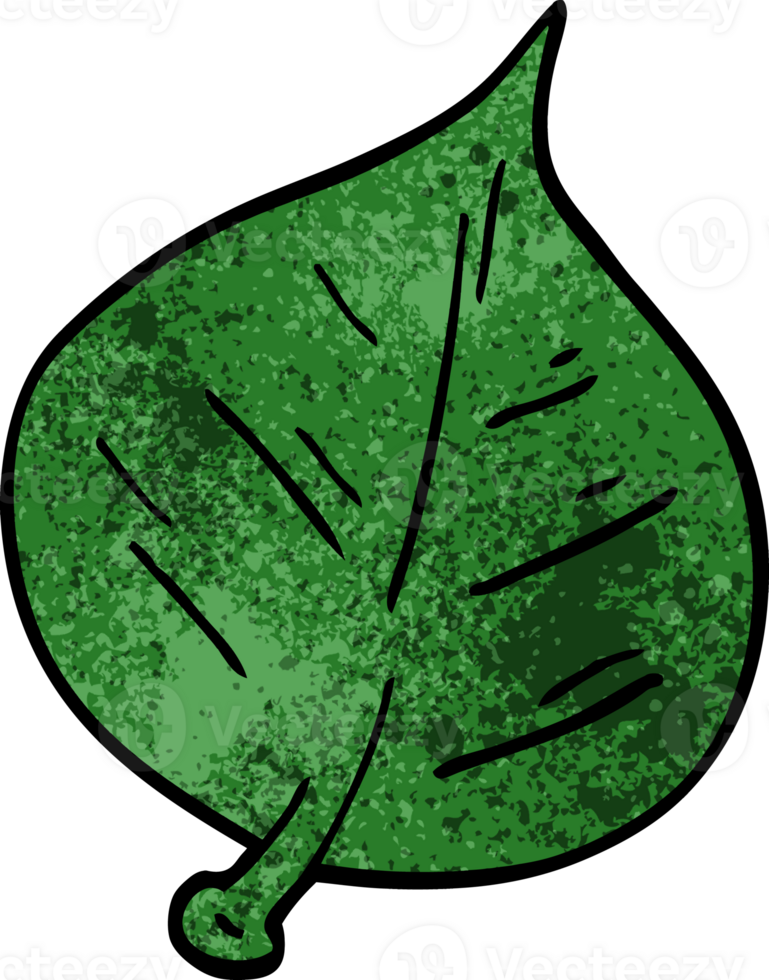 cartoon doodle leaf png