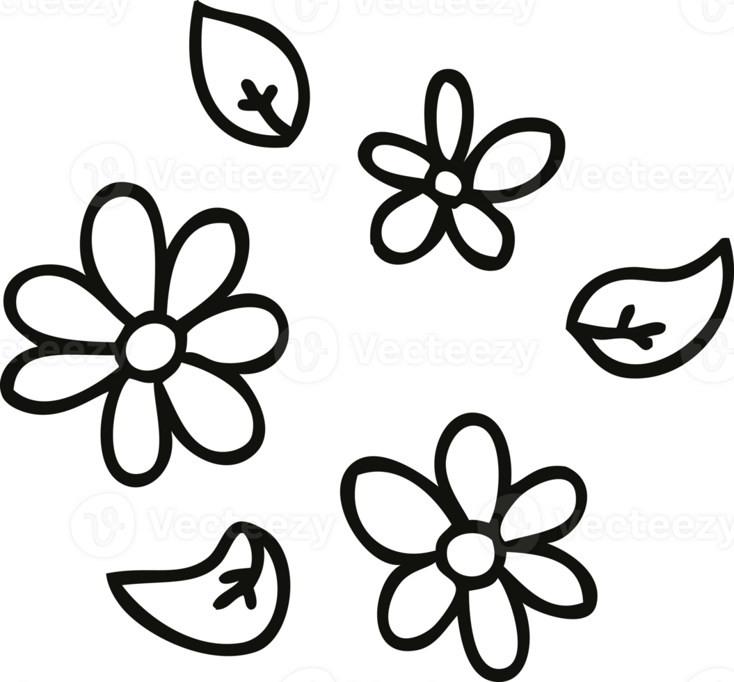 line drawing quirky cartoon flowers png