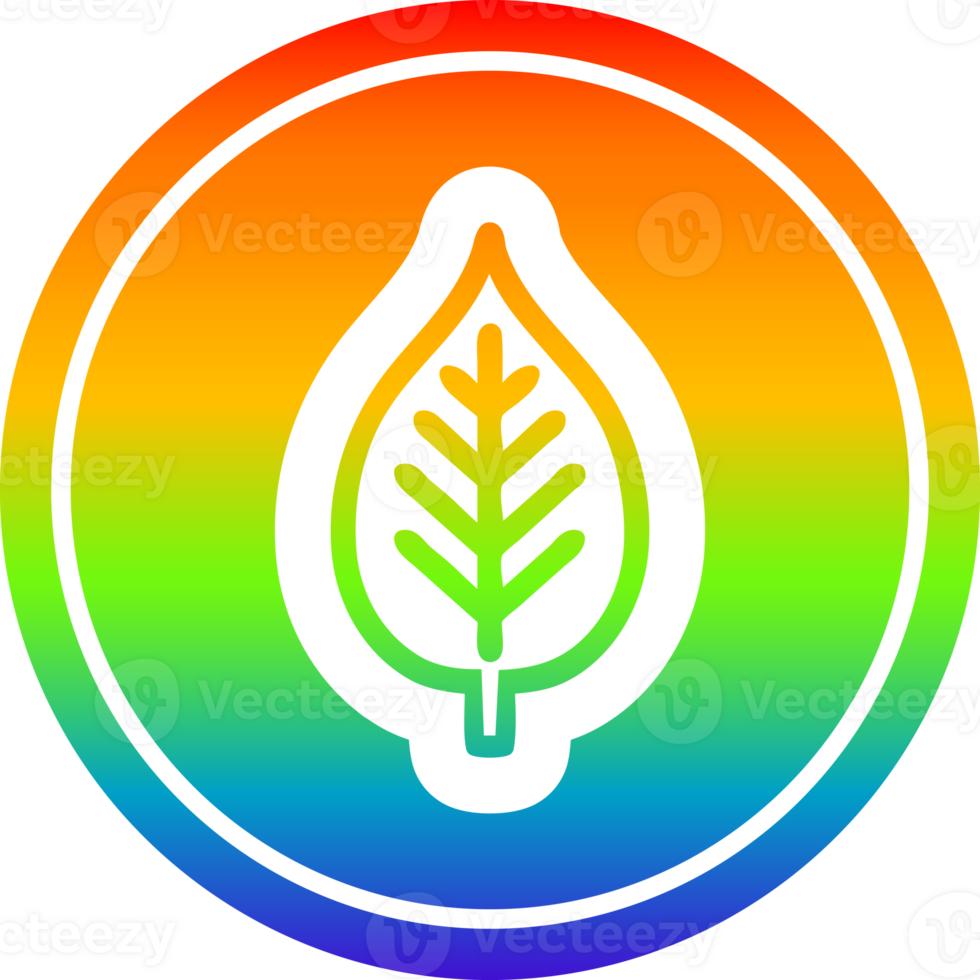 natural leaf circular icon with rainbow gradient finish png