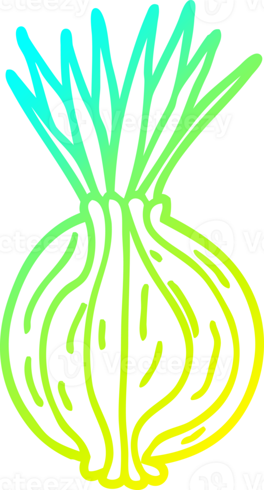 cold gradient line drawing of a cartoon sprouting onion png