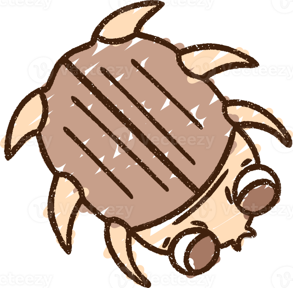 Bug Chalk Drawing png