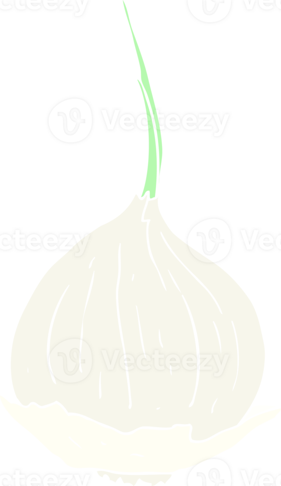 flat color illustration of onion png