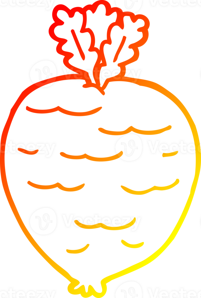 warm gradient line drawing cartoon root vegetable png