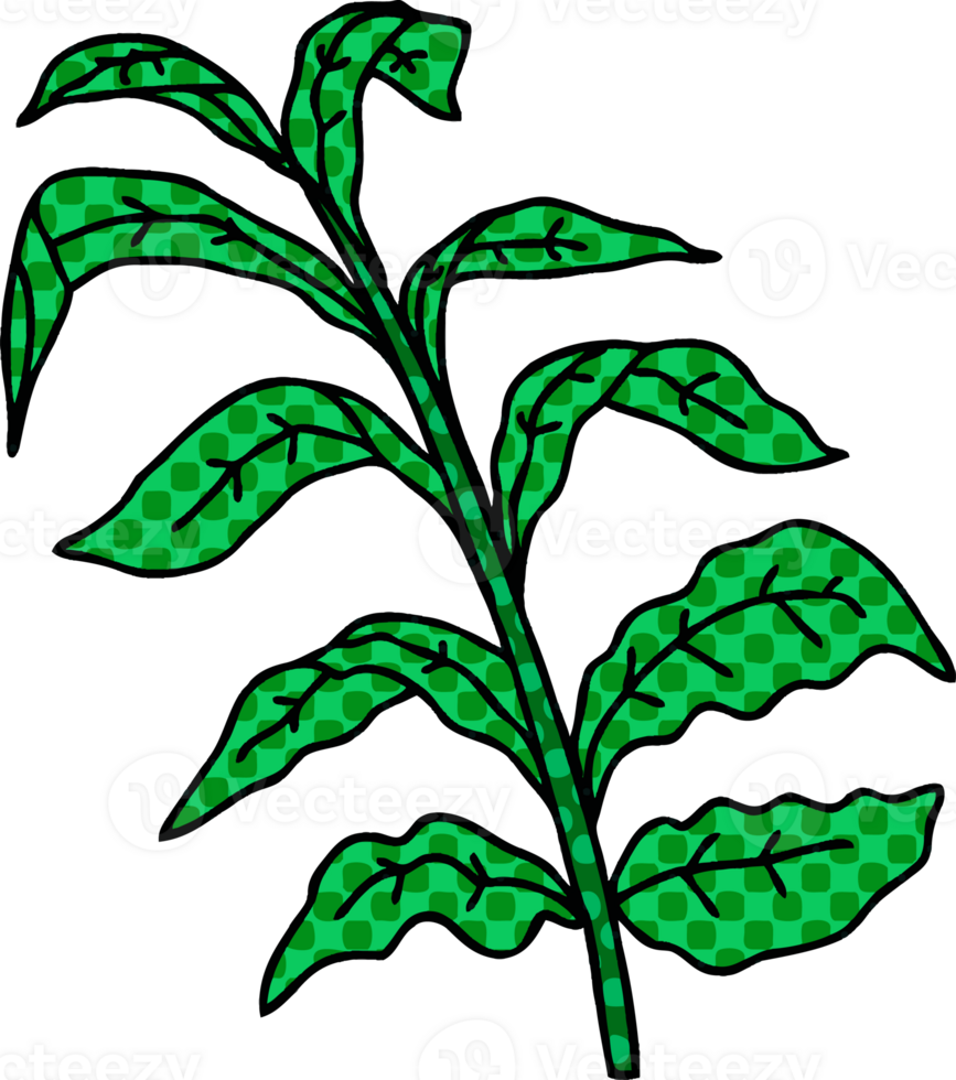 quirky comic book style cartoon vine leaves png