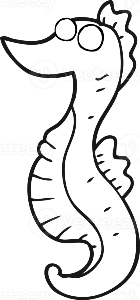 black and white cartoon seahorse png