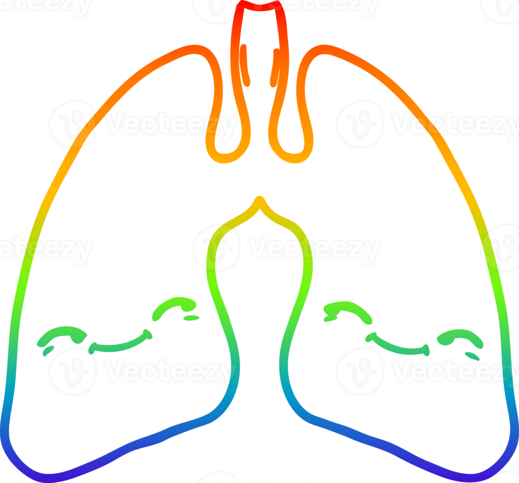 rainbow gradient line drawing of a cartoon lungs png