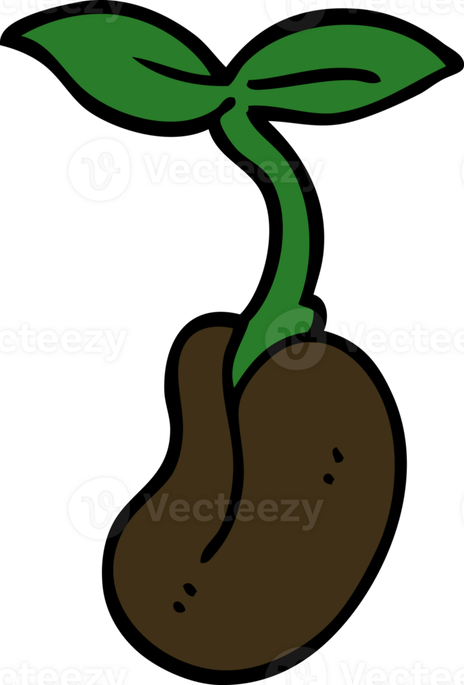cartoon doodle of a seedling png