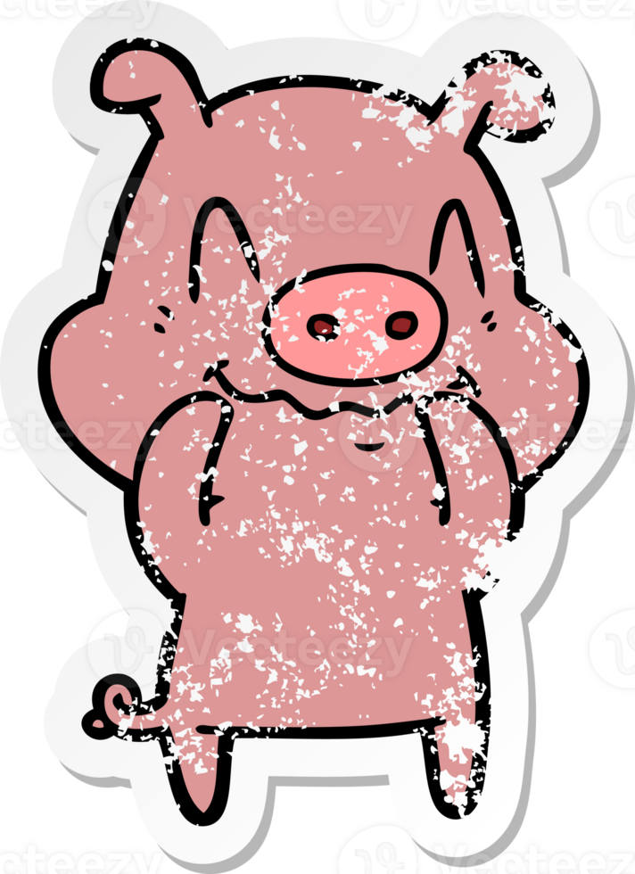 distressed sticker of a nervous cartoon pig png