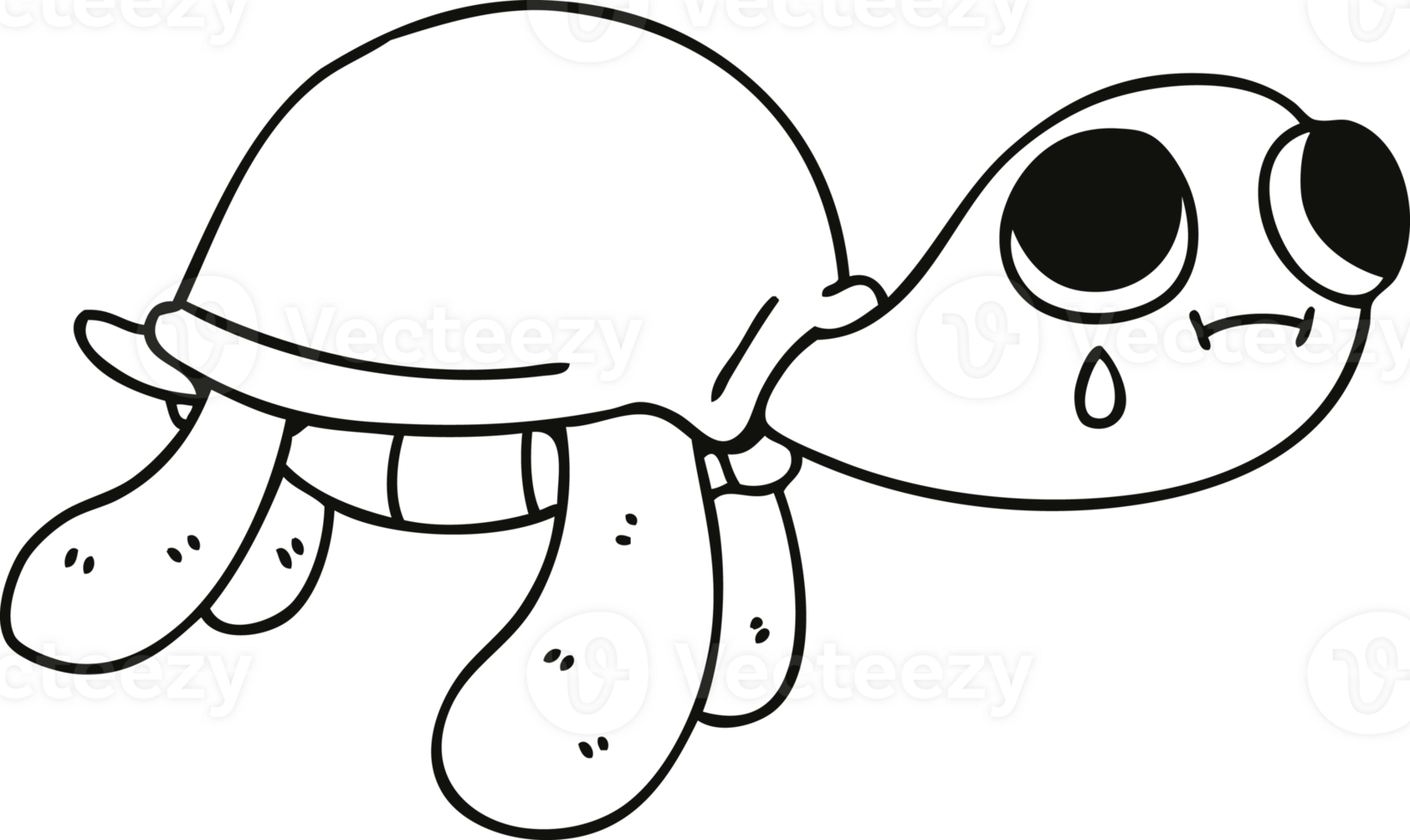 line drawing quirky cartoon turtle png