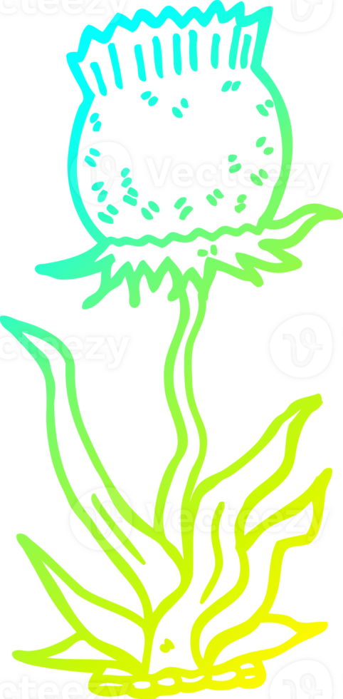 cold gradient line drawing cartoon wild flower png