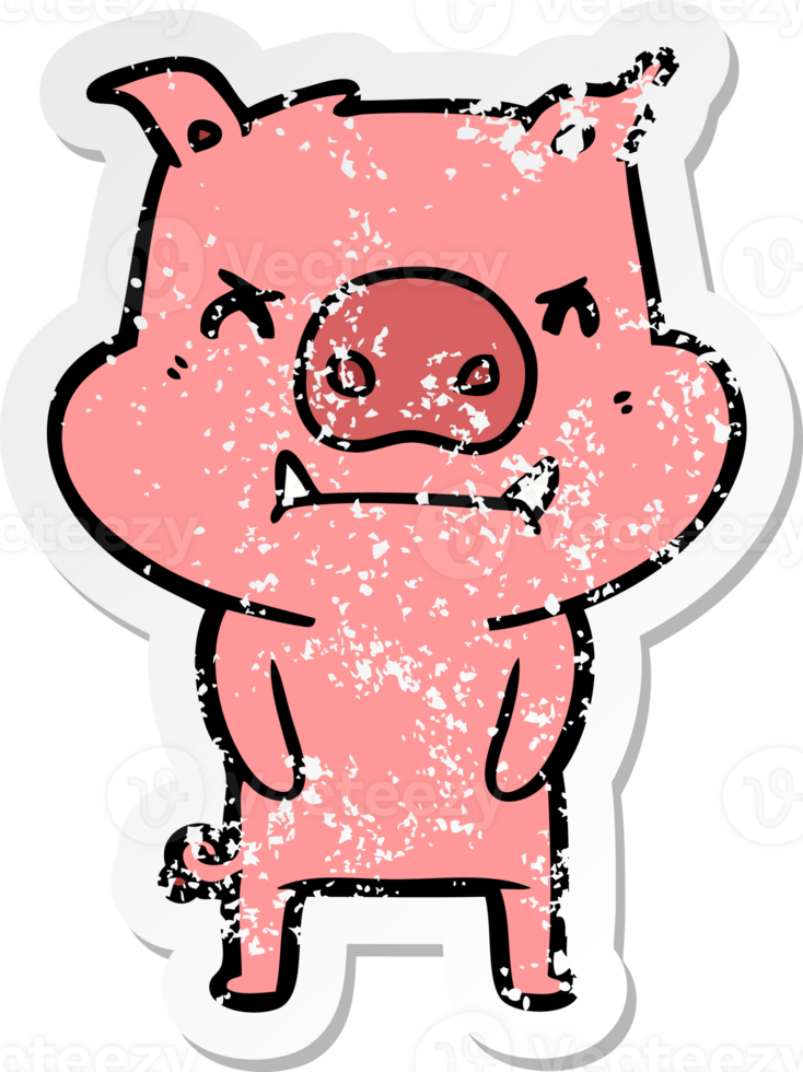 distressed sticker of a angry cartoon pig png