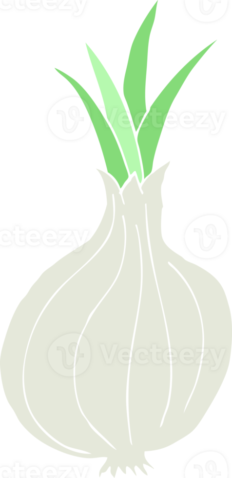 flat color illustration of a cartoon onion png