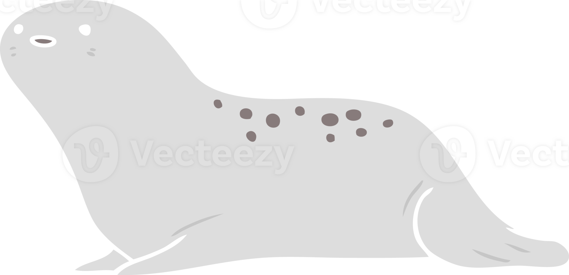 cute flat color style cartoon seal png