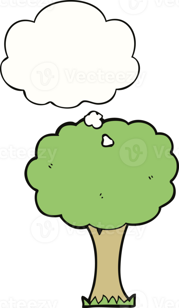 cartoon tree and thought bubble png