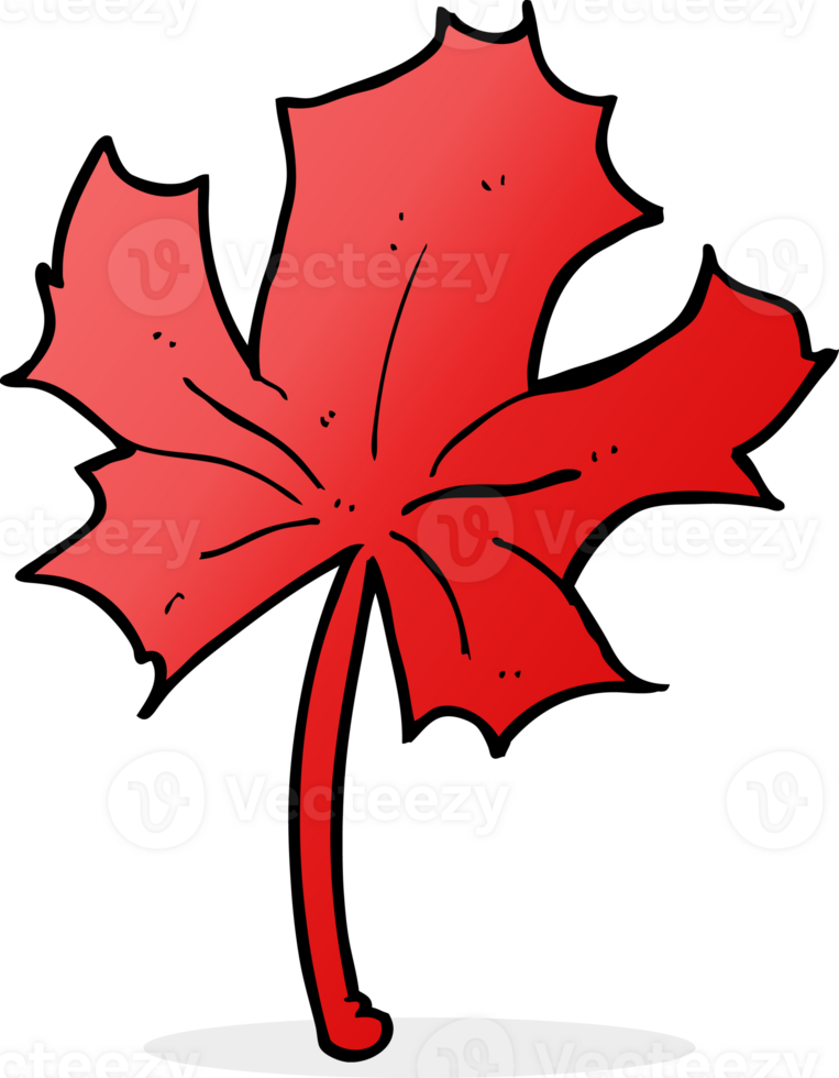 cartoon red maple leaf png