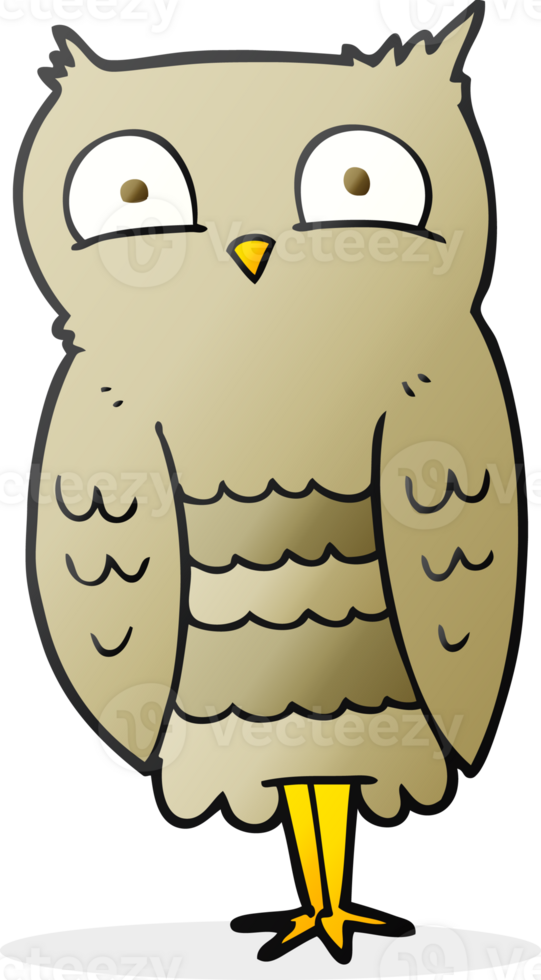 hand drawn cartoon owl png