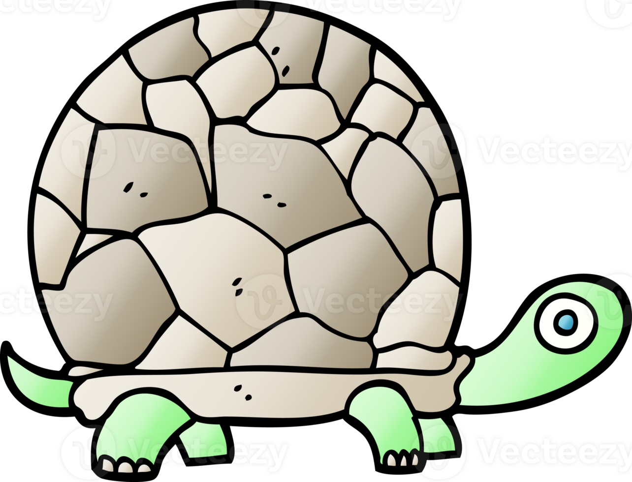 gradient illustration cartoon tortoise png