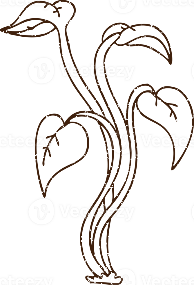 Dry Leaves Charcoal Drawing png