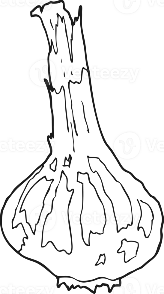 hand drawn black and white cartoon garlic png