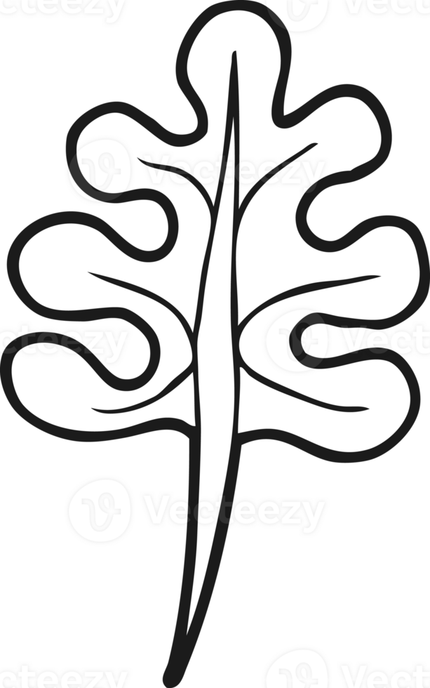 hand drawn black and white cartoon leaf png