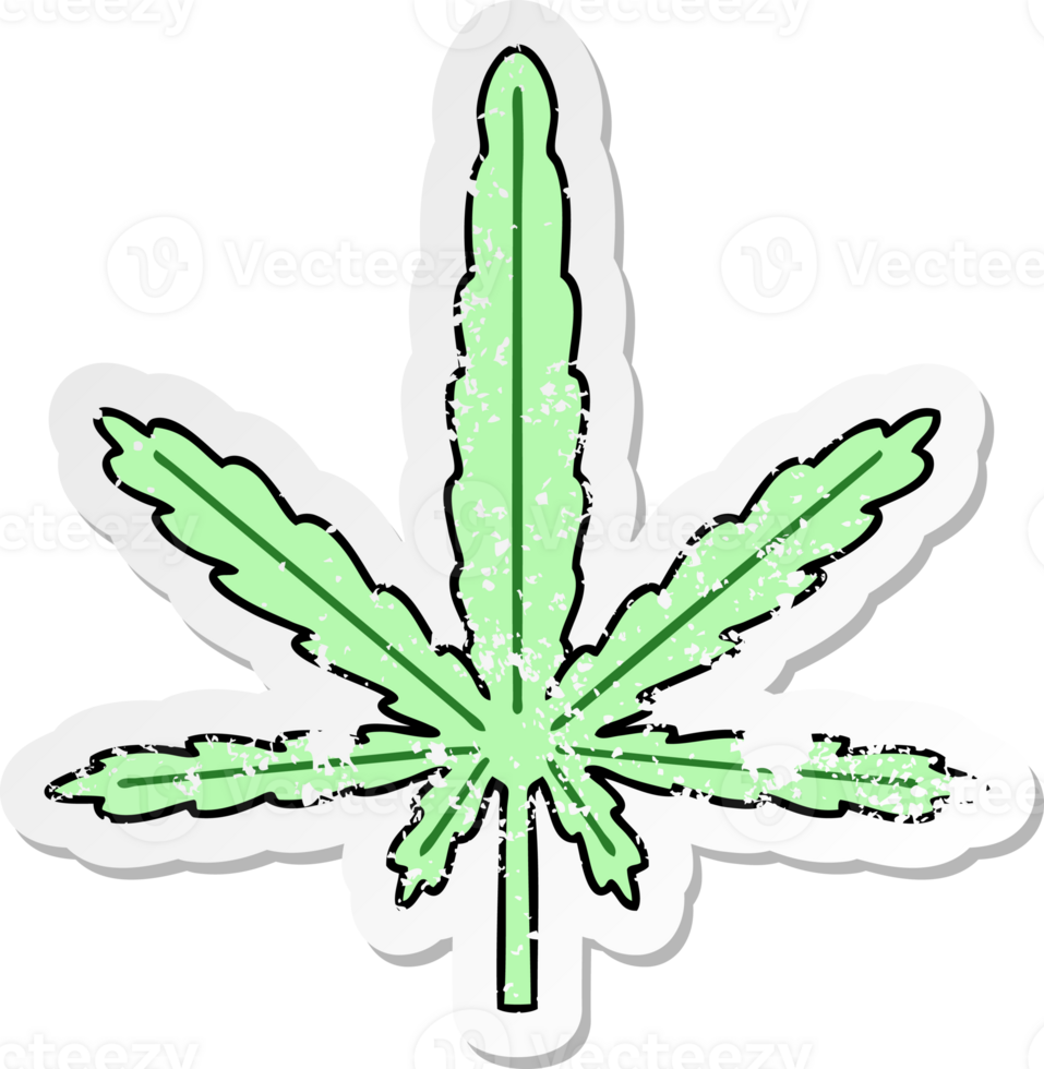 distressed sticker of a quirky hand drawn cartoon marijuana png