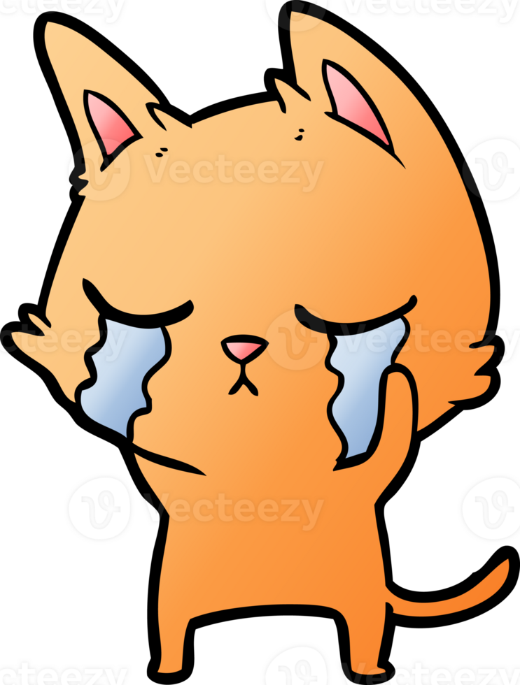 crying cartoon cat png