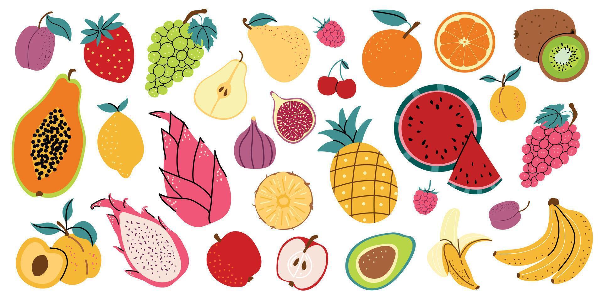 Large set of fruits and berries. Collection of organic vitamins and healthy nutrition. Banana, strawberry, papaya, kiwi, apricot, orange. Hand drawn style, isolated white background. vector