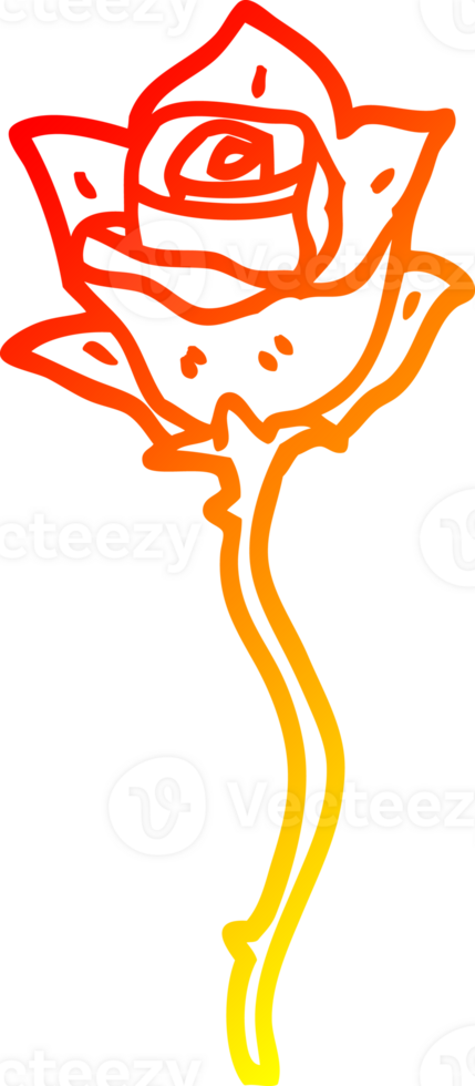 warm gradient line drawing of a cartoon red rose png