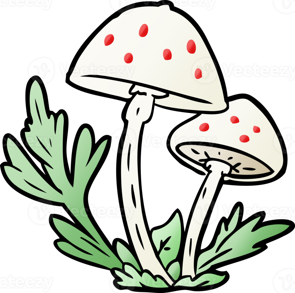 cartoon wild mushrooms png