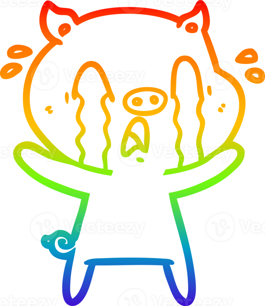 rainbow gradient line drawing of a crying pig cartoon png