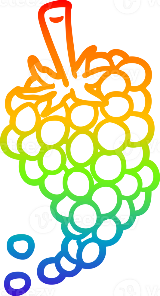 rainbow gradient line drawing of a bunch of grapes png