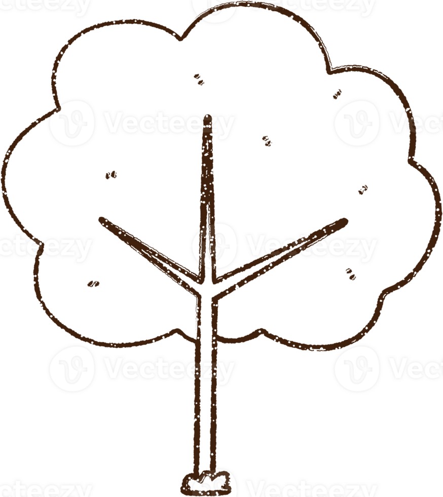 Tree Charcoal Drawing png