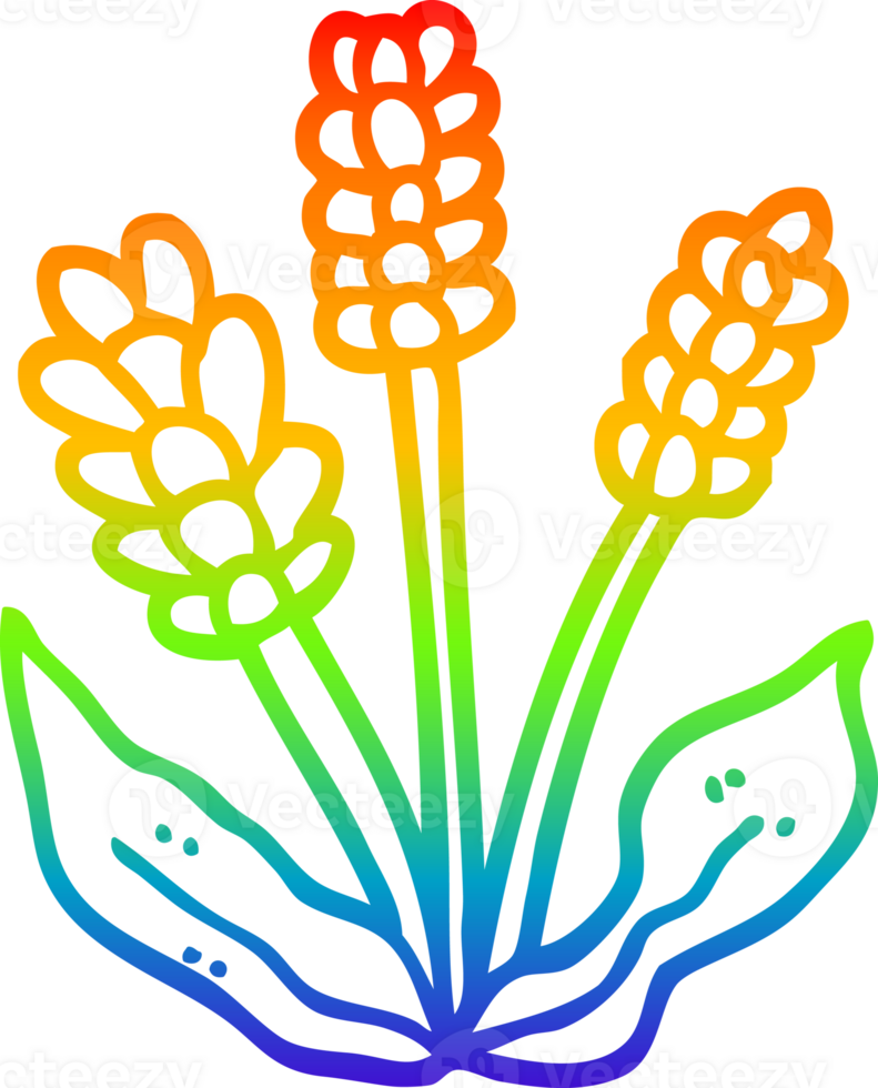 rainbow gradient line drawing of a cartoon lavender png