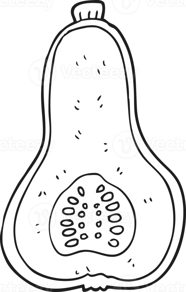 hand drawn black and white cartoon butternut squash png