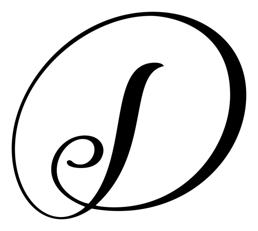 calligraphy hand drawn letter D logo. Script font. Handwritten brush style vector
