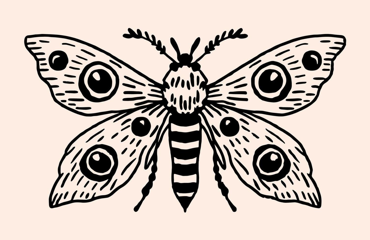 Death moth sketch hand drawn ink drawing illustration black and white ink line art dark academia witchy curiosity cabinet cute beautiful insect aesthetic element cut file vector