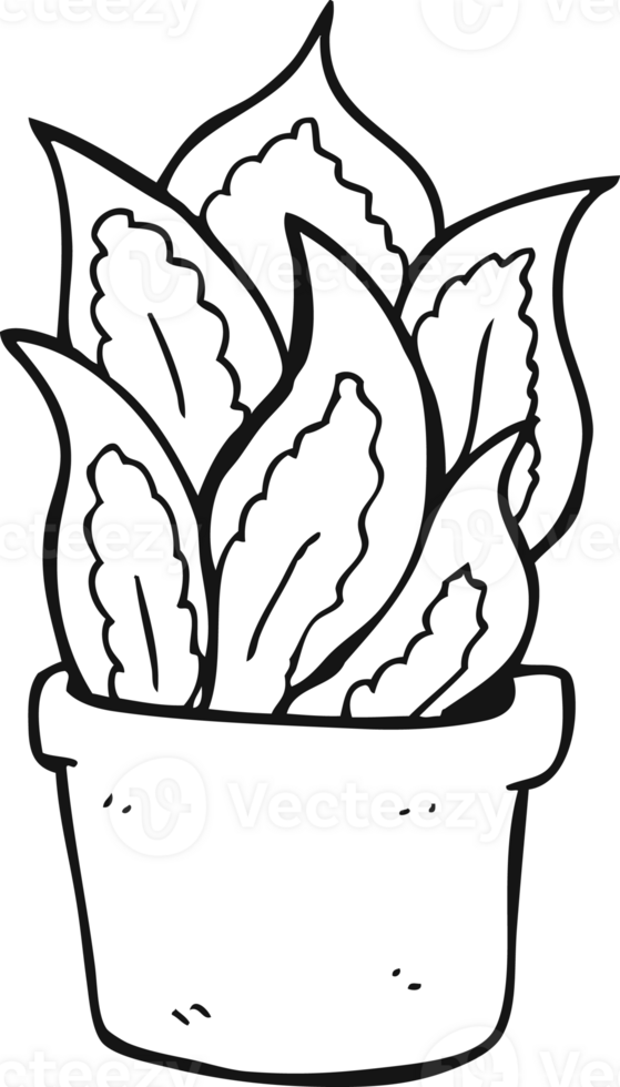 hand drawn black and white cartoon house plant png