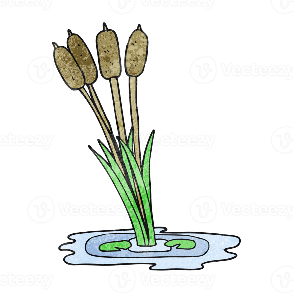 hand textured cartoon reeds png