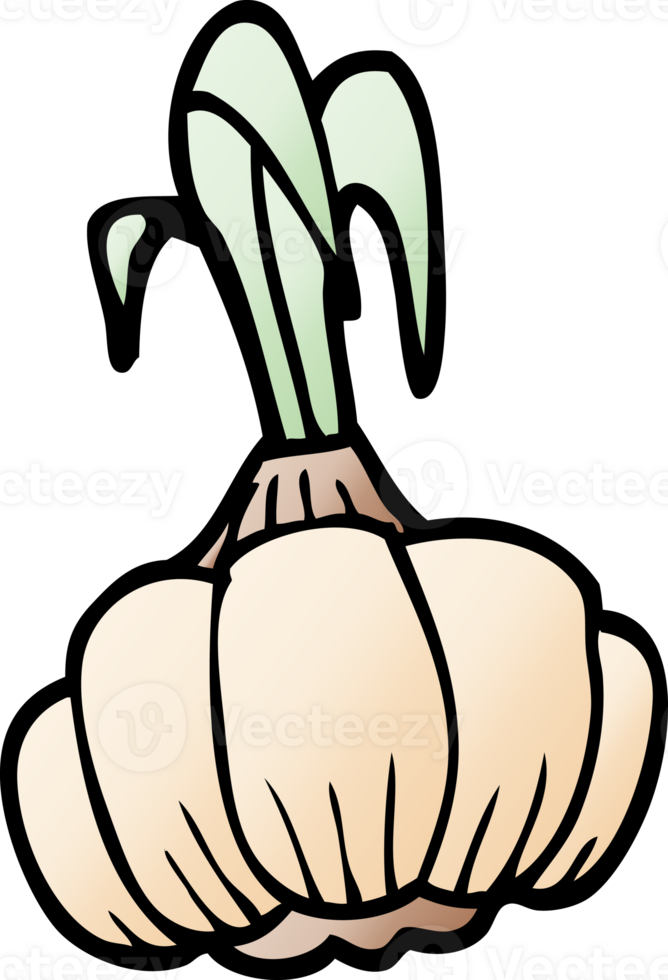 cartoon doodle sprouting garlic png