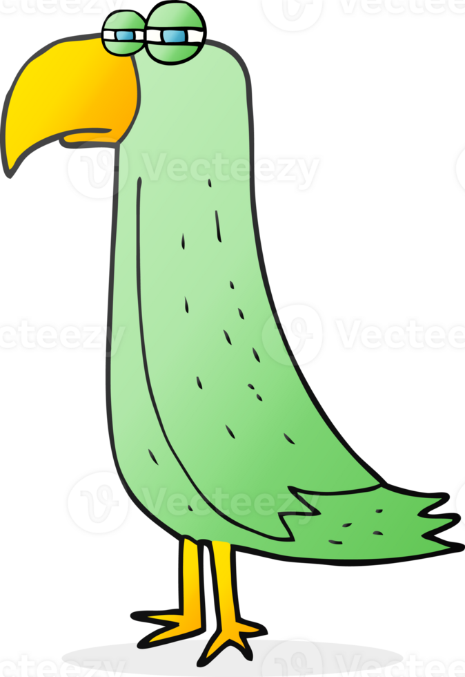 hand drawn cartoon parrot png